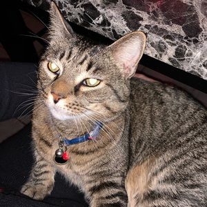 Meet your Posher, Nancy